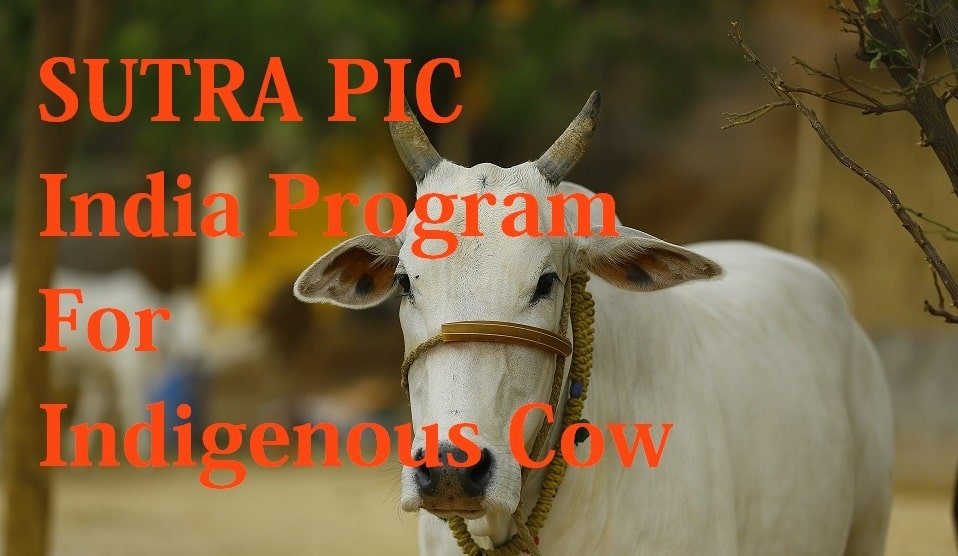 SUTRA PIC India Program